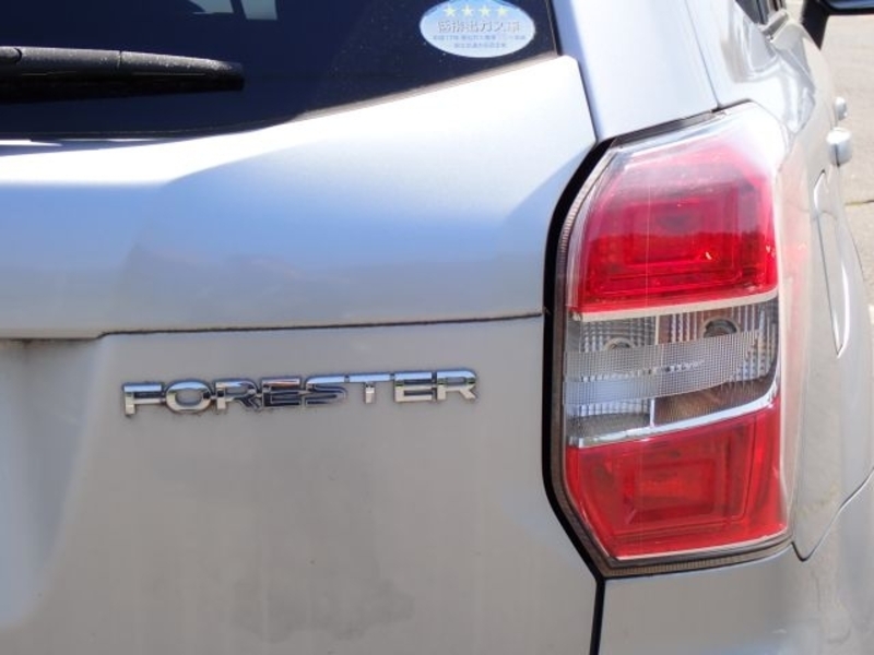 FORESTER