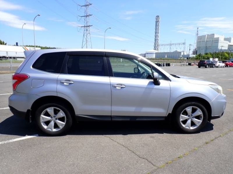 FORESTER