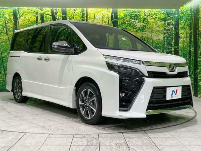VOXY-17