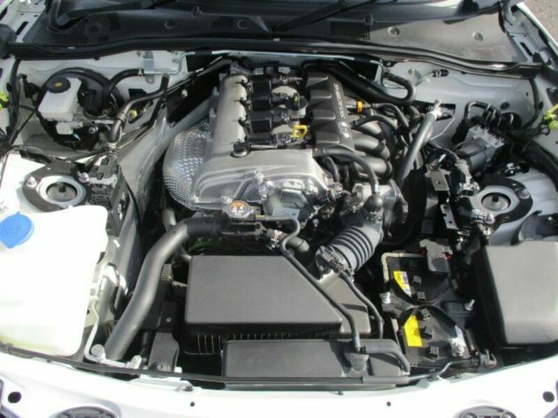 ROADSTER-28