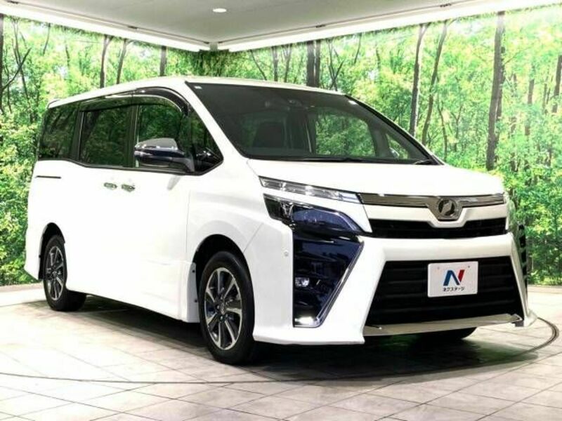 VOXY-16