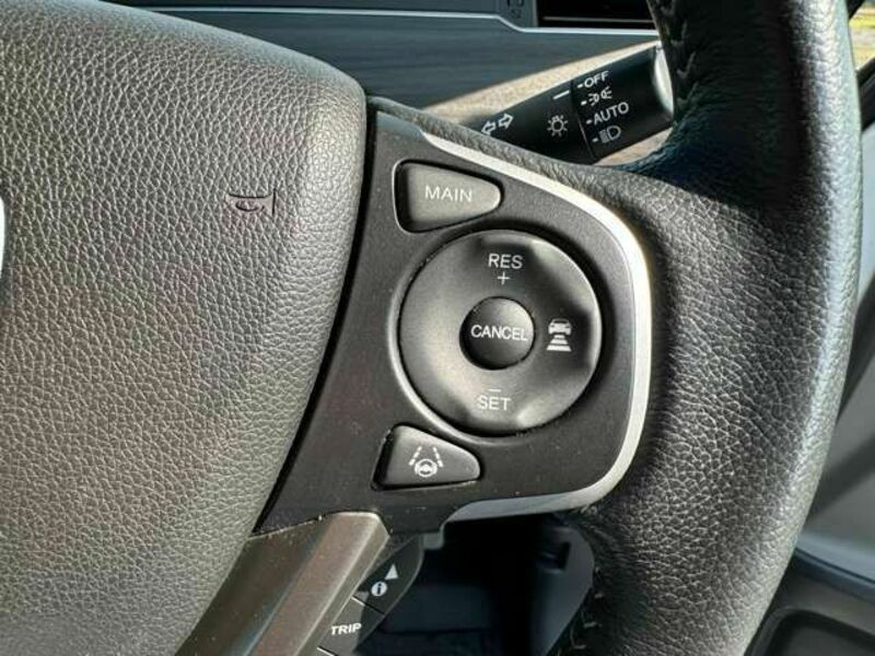 FREED HYBRID-13
