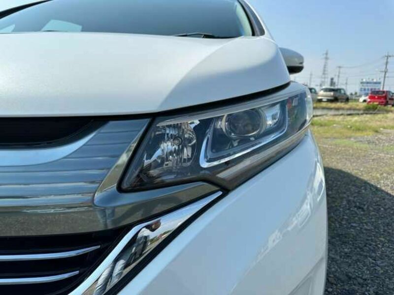 FREED HYBRID-16
