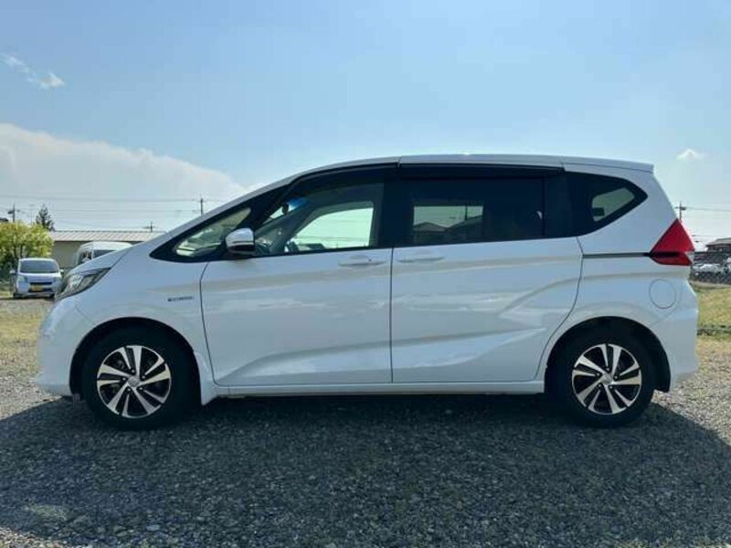 FREED HYBRID-18