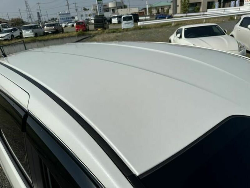 FREED HYBRID-24