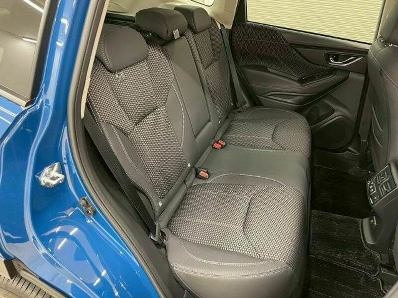 FORESTER-8
