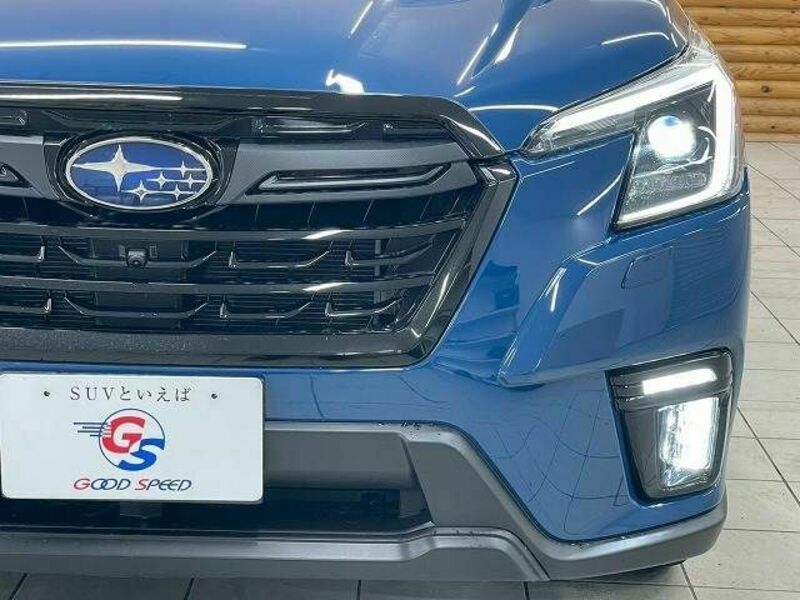 FORESTER-9