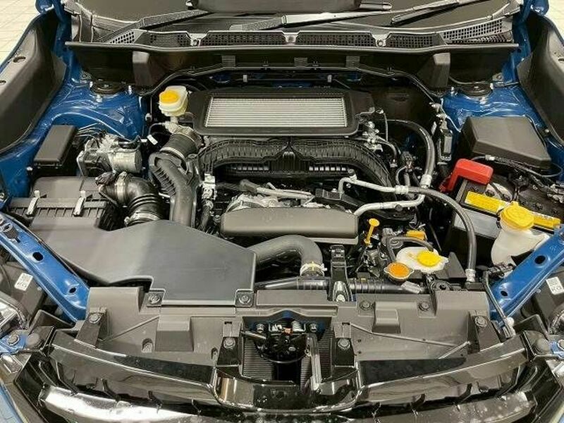 FORESTER-13
