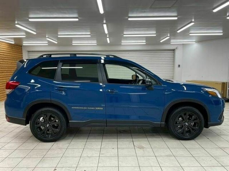 FORESTER-17