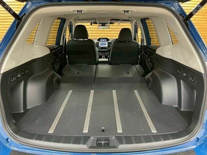 FORESTER-19
