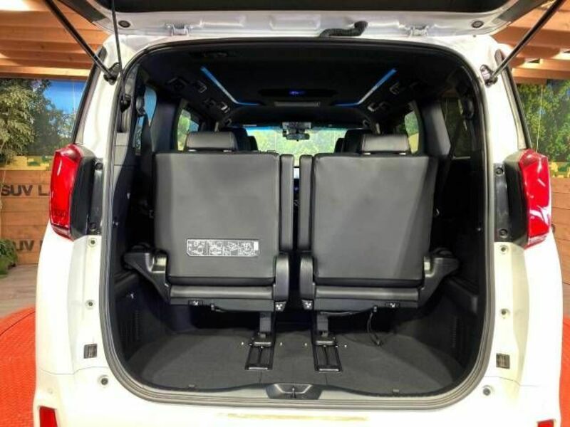 ALPHARD-11