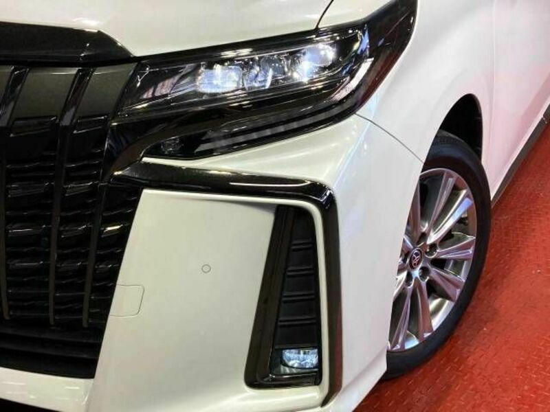 ALPHARD-12