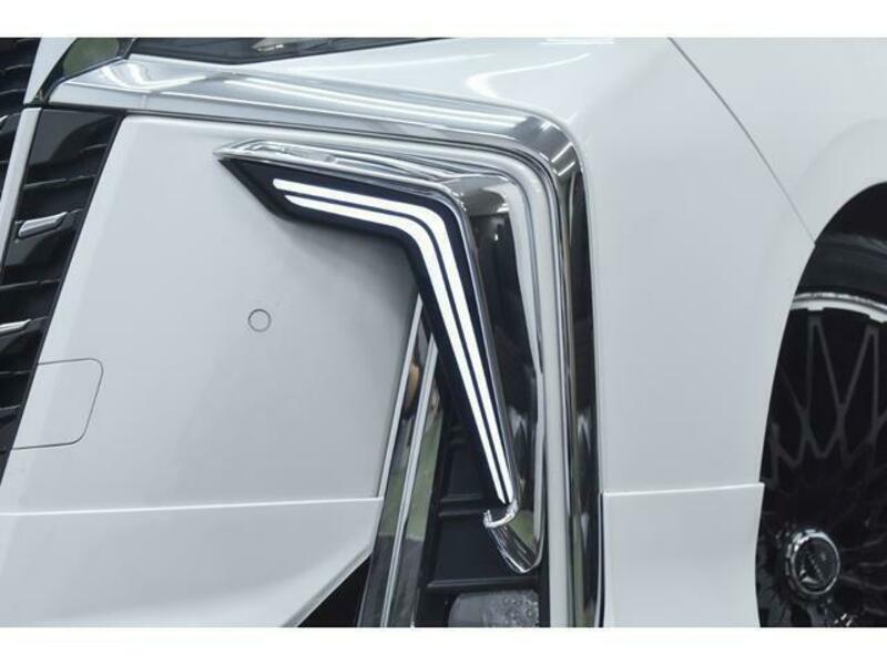 ALPHARD-17