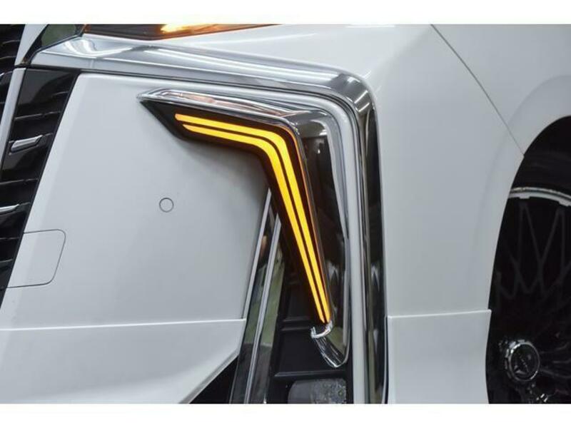 ALPHARD-18