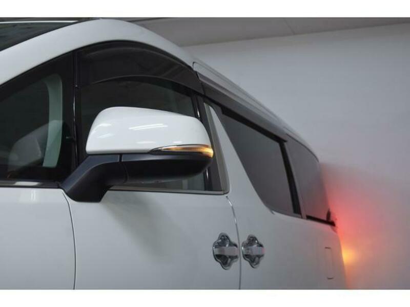 ALPHARD-19