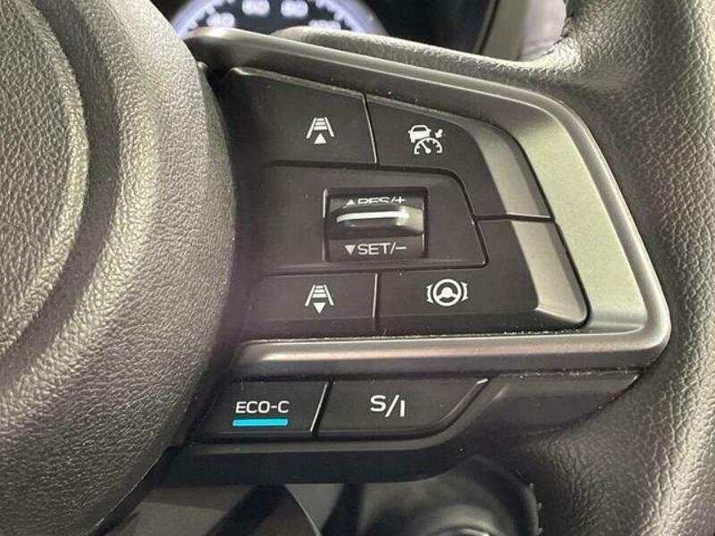 FORESTER-4
