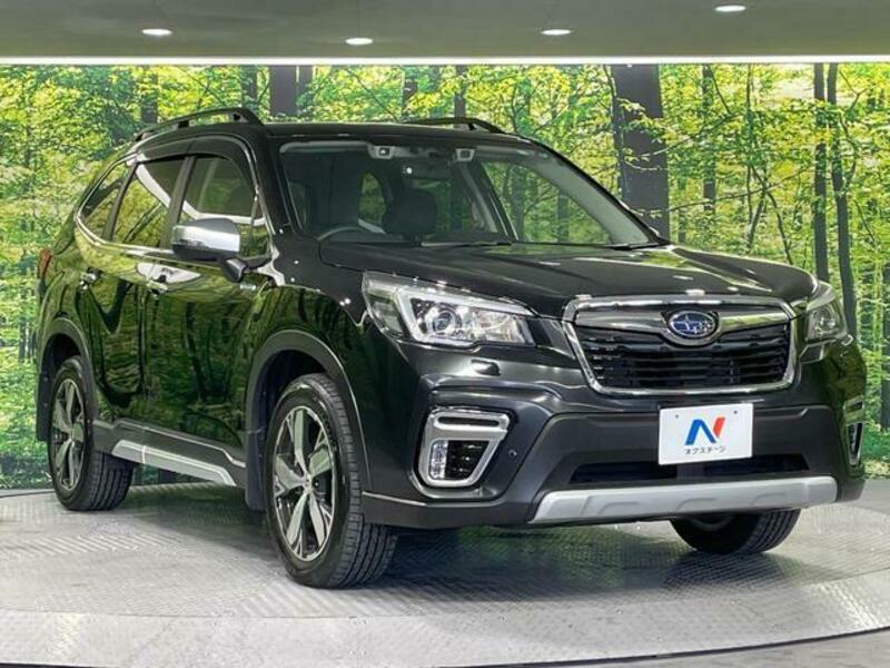 FORESTER-15