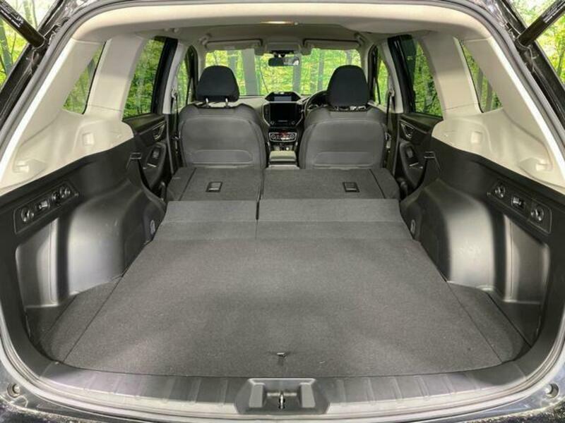 FORESTER-9
