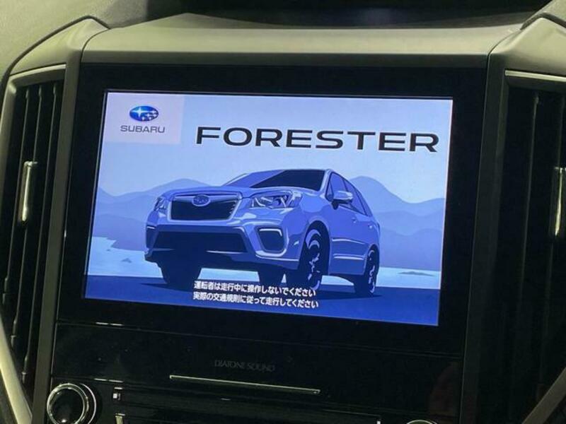 FORESTER-3