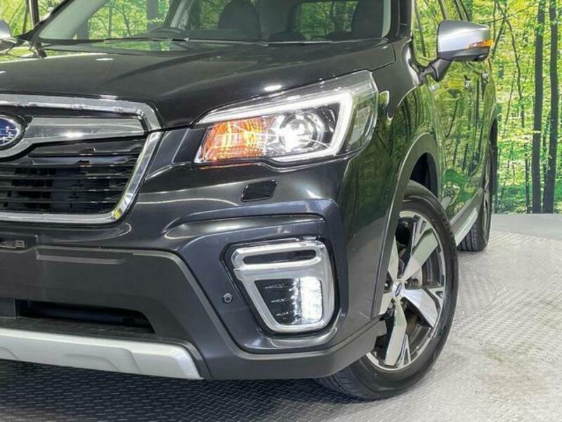 FORESTER-11