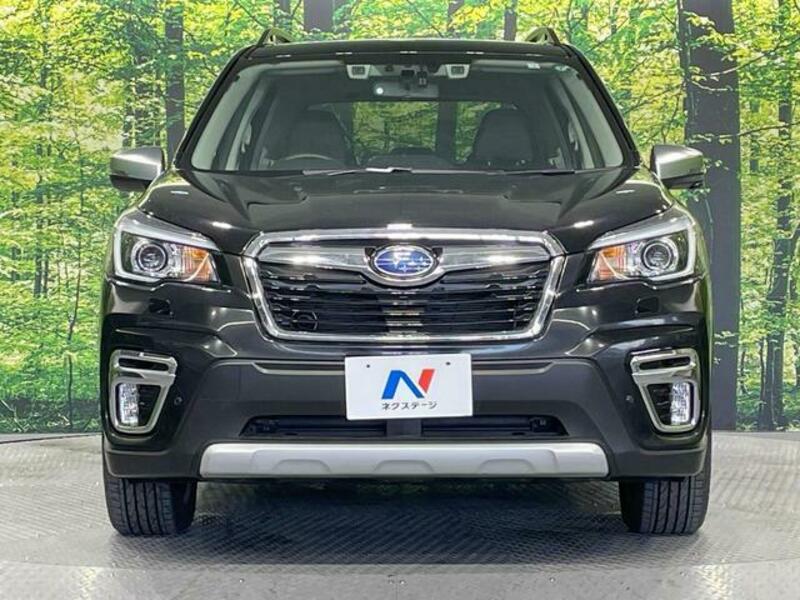 FORESTER-13