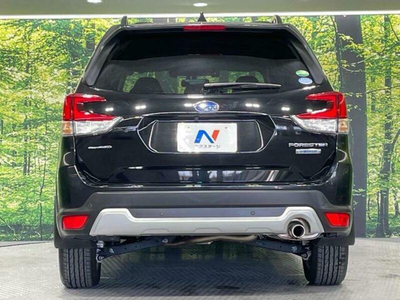 FORESTER-14