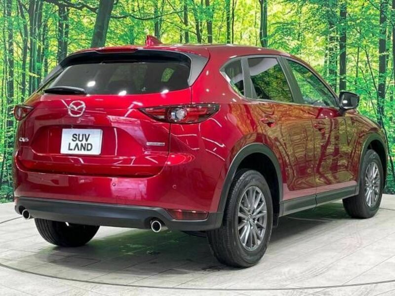 CX-5-17