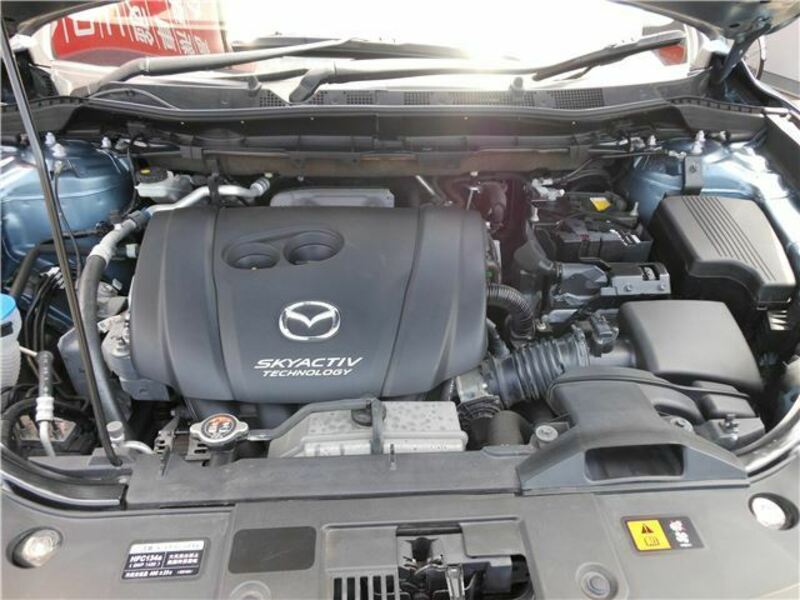 CX-5-25