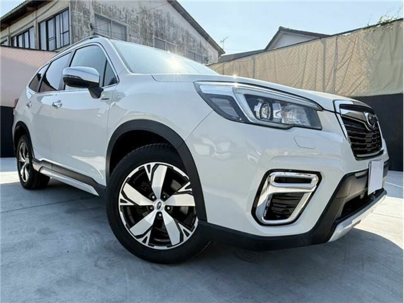 FORESTER-3