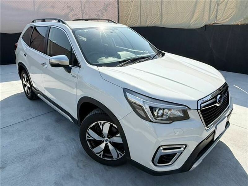 FORESTER-4