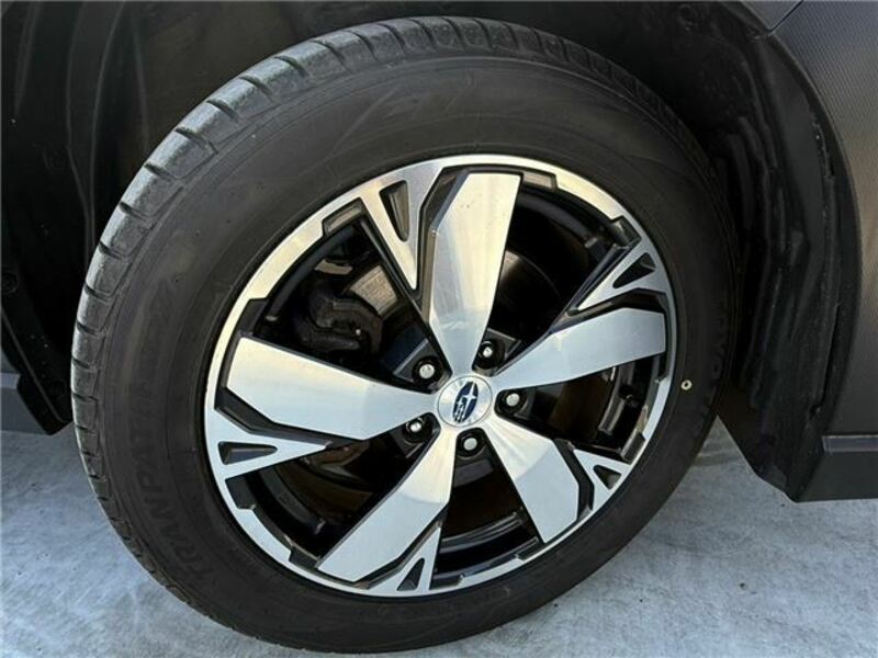 FORESTER-5