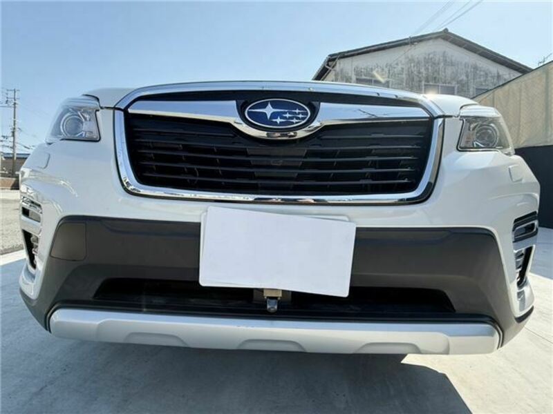 FORESTER-8