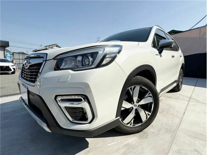 FORESTER-10