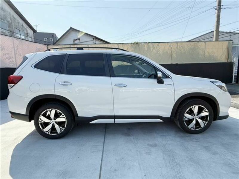 FORESTER-12