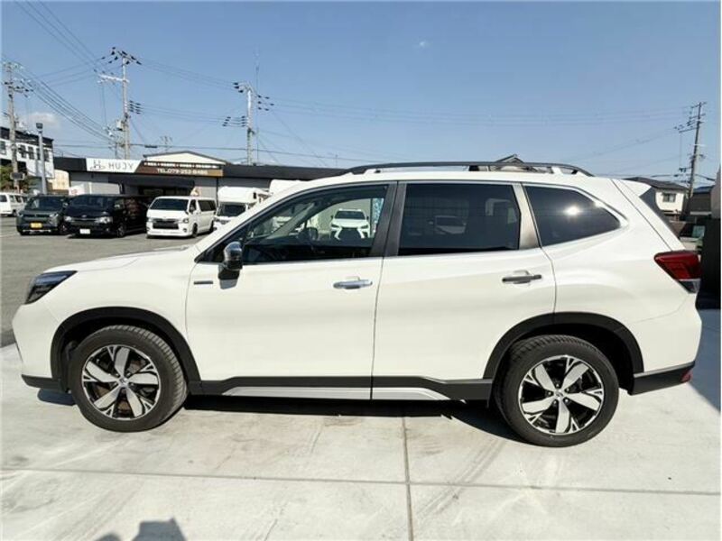 FORESTER-15