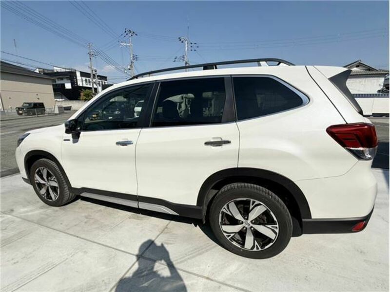 FORESTER-17