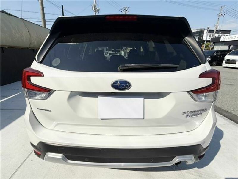 FORESTER-19