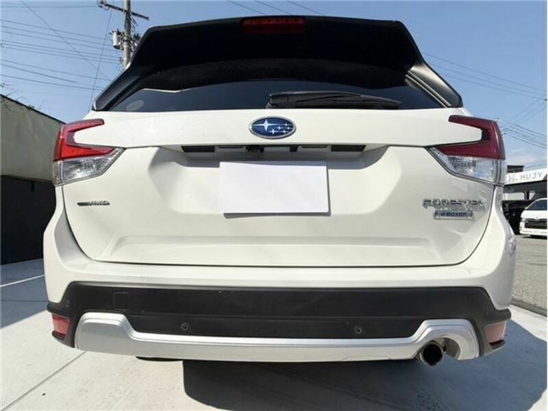 FORESTER-20