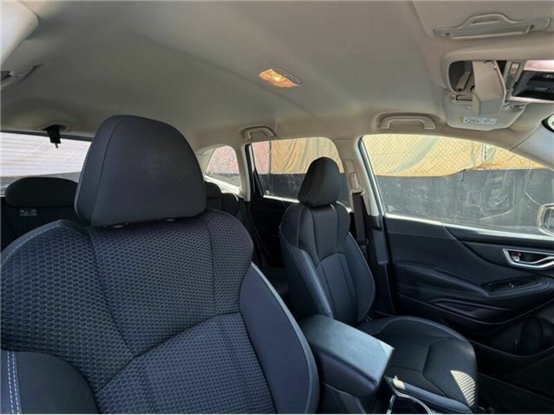 FORESTER-29