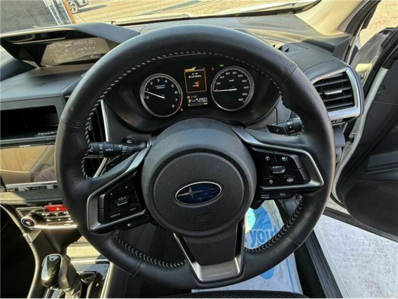 FORESTER-30