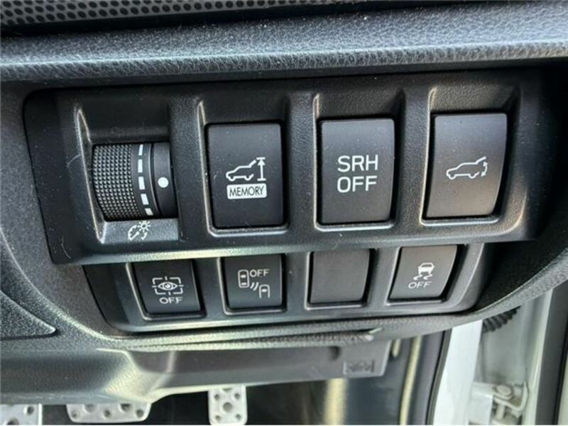 FORESTER-34