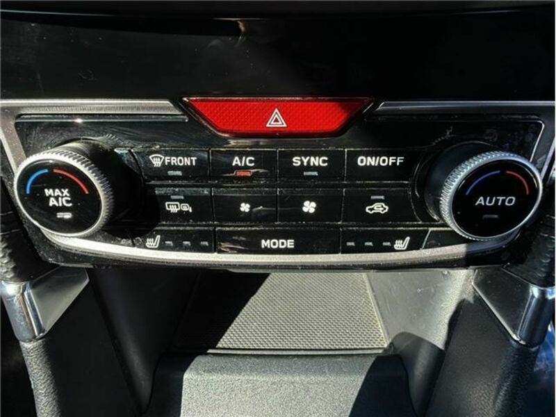FORESTER-35