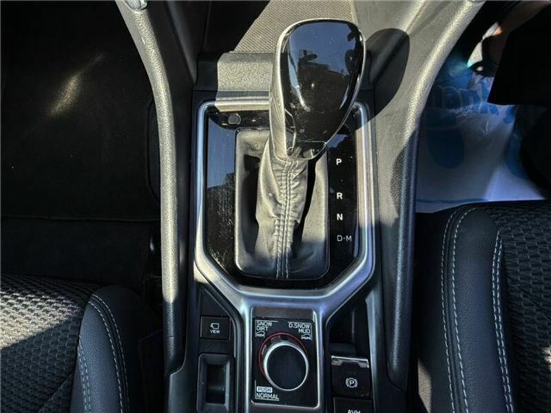 FORESTER-36