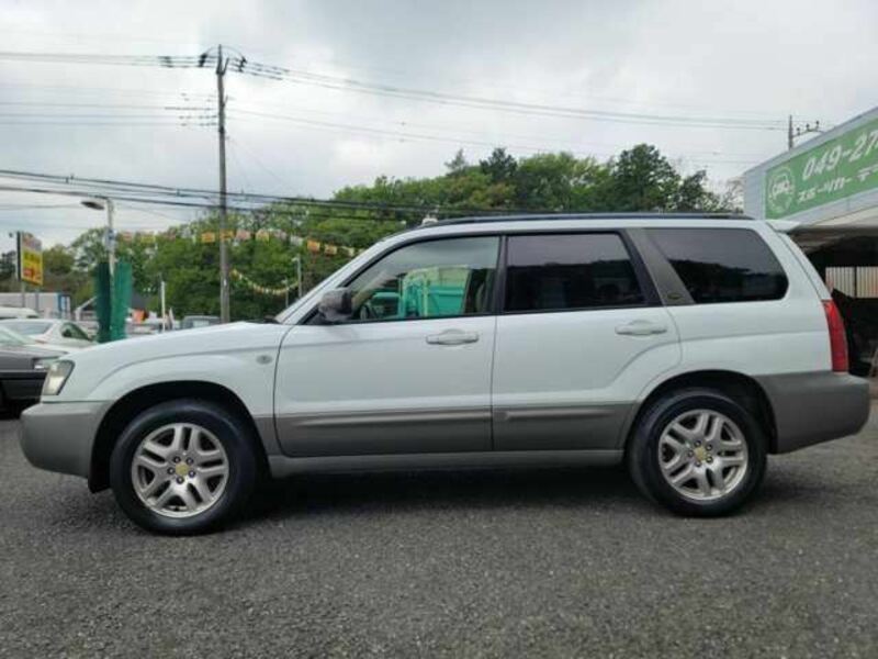FORESTER-6