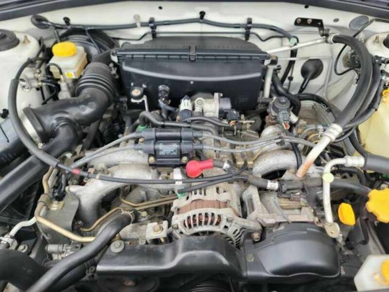 FORESTER-9