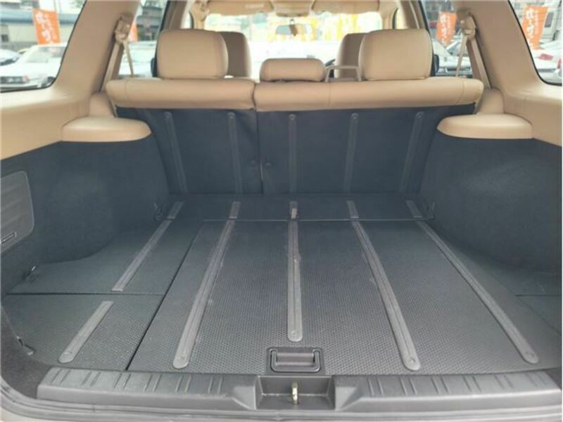FORESTER-19