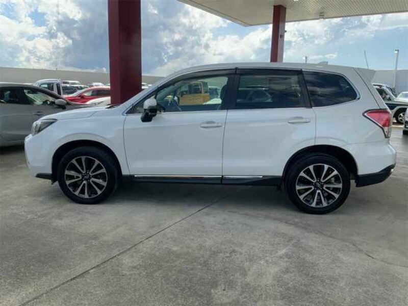 FORESTER