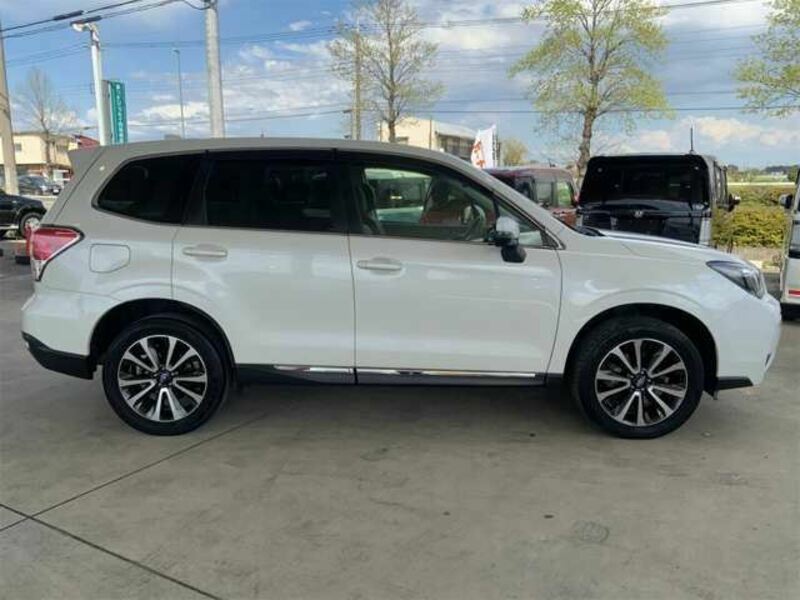 FORESTER