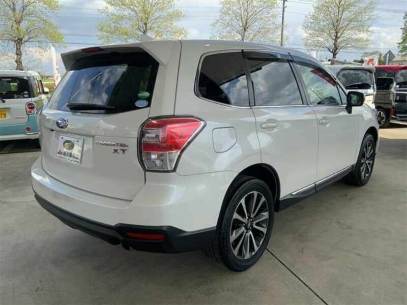 FORESTER