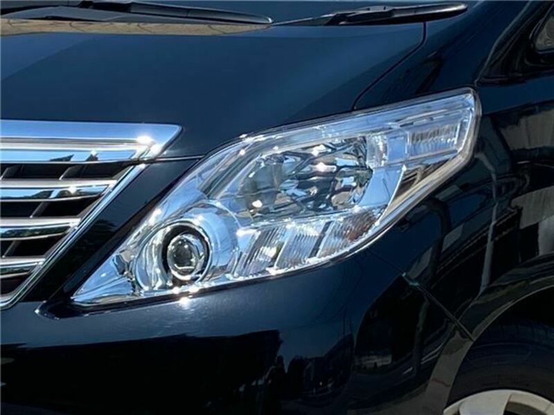 ALPHARD-27